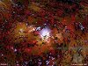 Nebula 1